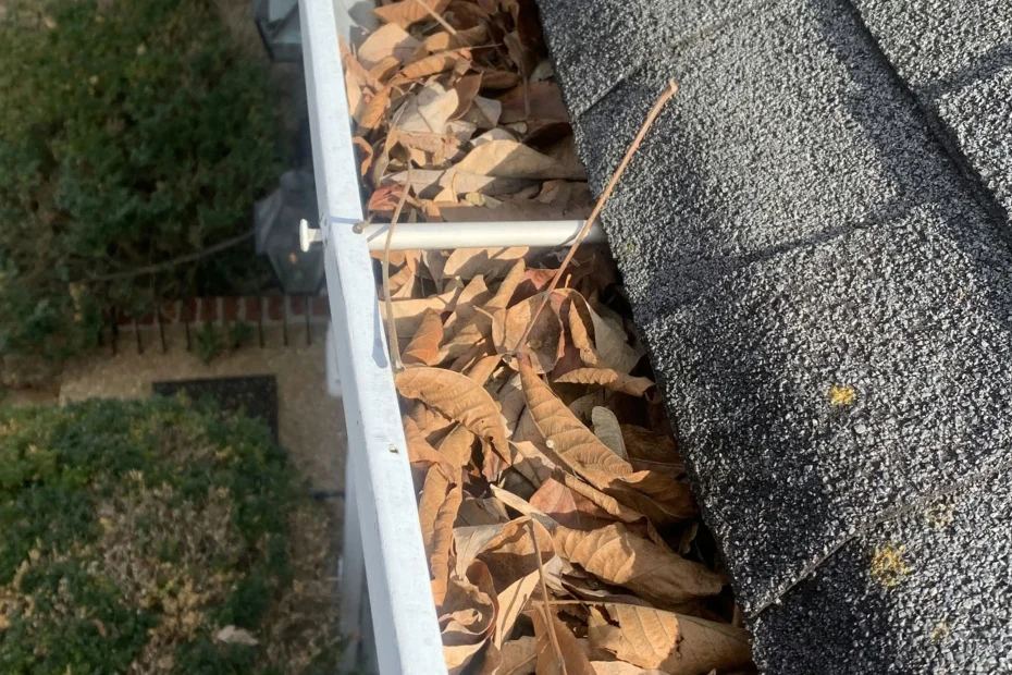 Gutter Cleaning Tice