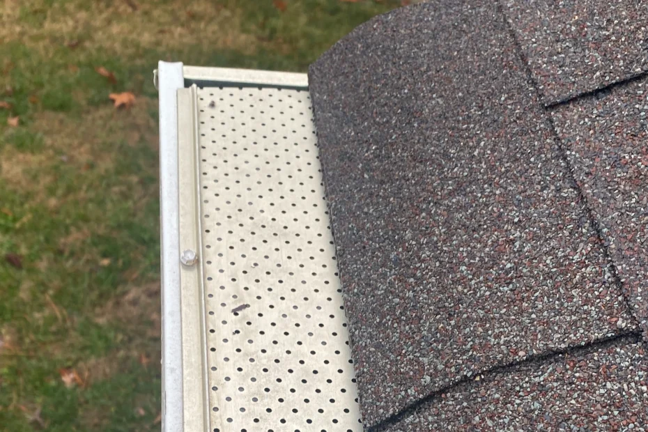 Gutter Cleaning Tice