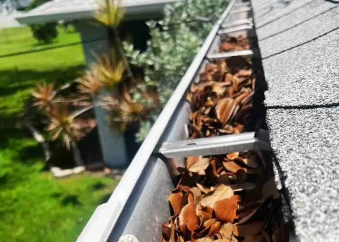 Gutter Cleaning Tice home page